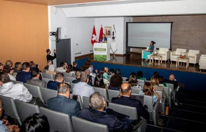 Desarrollo de competencias y profesiones verdes en Marruecos. El ejemplo suizo, un caso de libro de texto