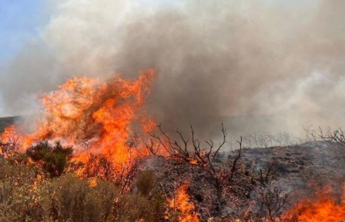 Grecia se prepara para un verano especialmente caluroso: se produce un incendio en la isla de Hidra: Noticias