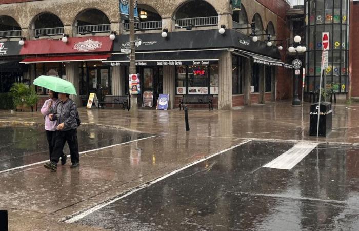 Environment Canada emite una advertencia de lluvia para Ottawa este sábado