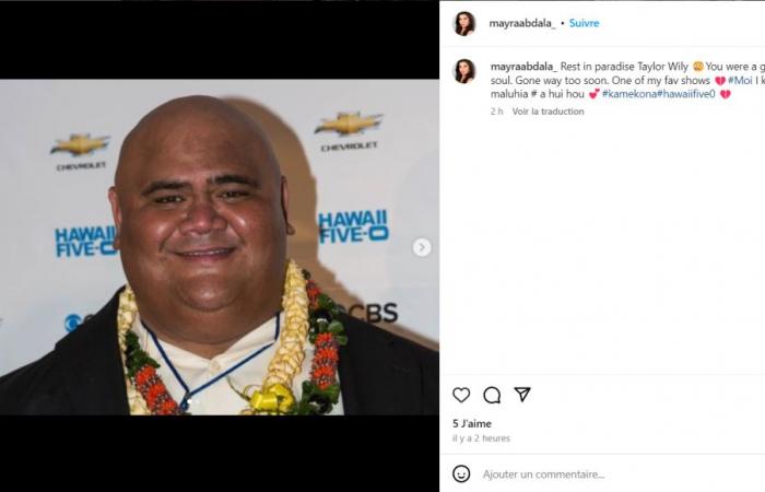 el actor visto en Hawaii 5-0 y Magnum no…