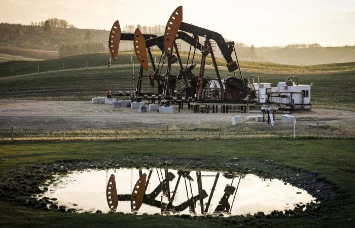 El sector del petróleo y el gas juega un juego arriesgado, dicen los expertos