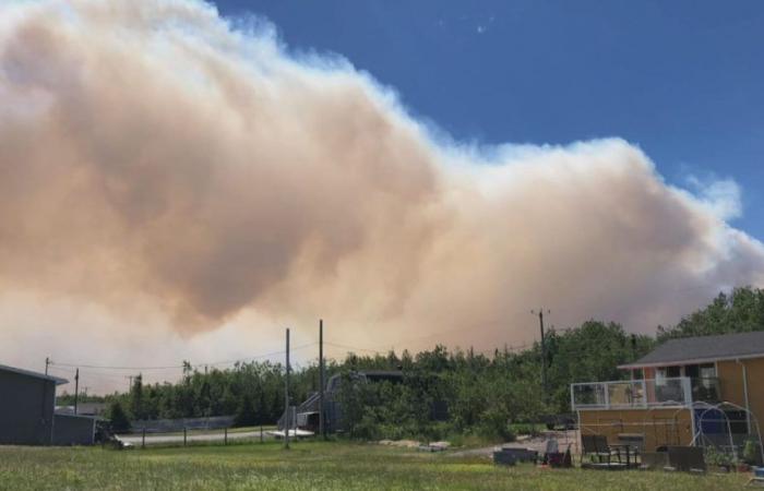Incendios forestales: cuatro incendios activos en la Costa Norte