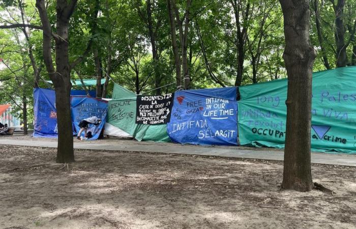 Un nuevo campamento pro palestino instalado en la plaza Victoria de Montreal | Medio Oriente, el eterno conflicto