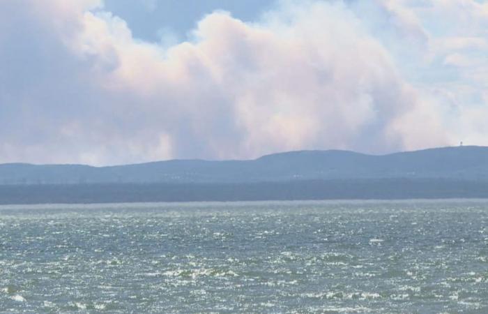 Tres incendios forestales en la costa norte: 60 nuevos bomberos forestales movilizados