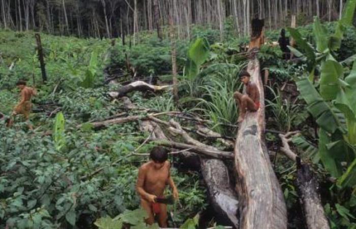 Deja todo para vivir en la selva amazónica y se enamora de un nativo