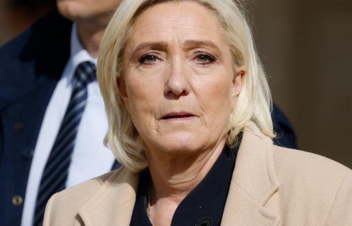 Marine Le Pen cuestiona el carácter racista de los comentarios de los seguidores de RN en Montargis