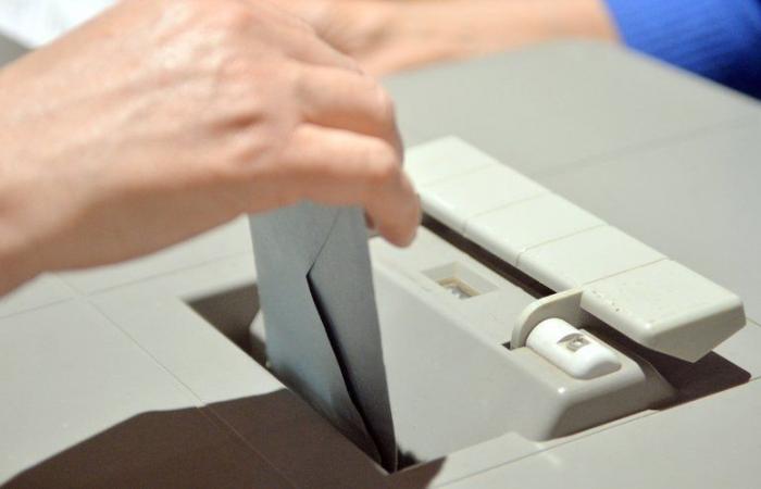 Elecciones legislativas 2024: ¿hacia un duelo Stéphanie Galzy-Aurélien Manenc en la quinta circunscripción de Hérault?