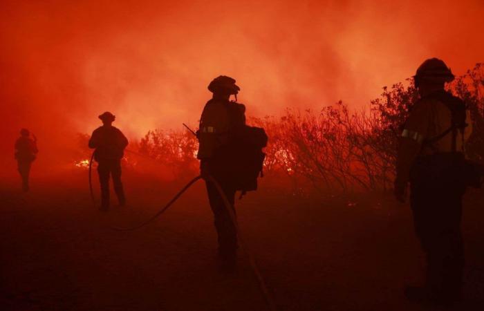 Los incendios forestales extremos se han duplicado en los últimos 20 años en todo el mundo, particularmente en los bosques templados y boreales.