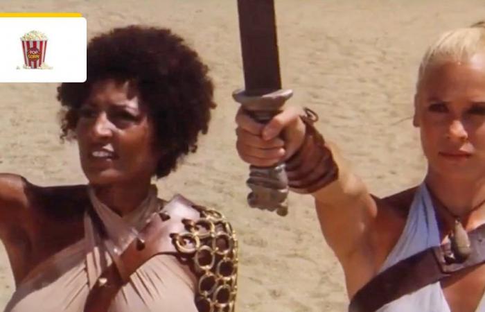 26 años antes de Gladiator, esta Espartaco femenina fue un éxito gracias a la inmensa Pam Grier – Cine Actualidad