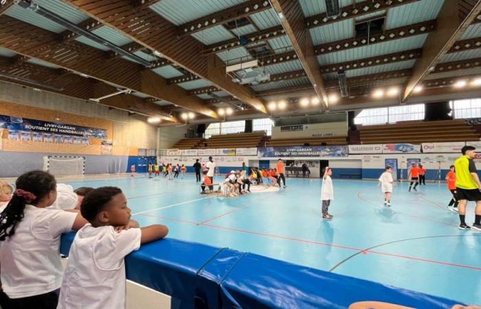 Seine-Saint-Denis: Olimpiadas intermunicipales con niños de centros de ocio