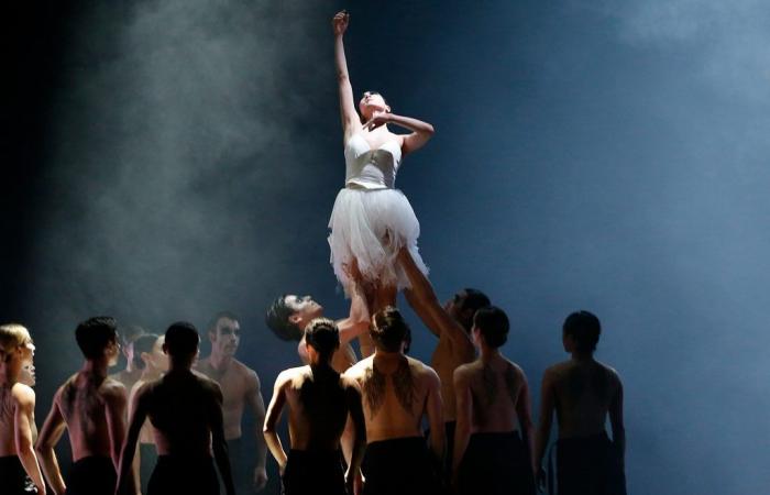 El Ballet de Leipzig comienza de nuevo – Baila con la pluma – Noticias de danza