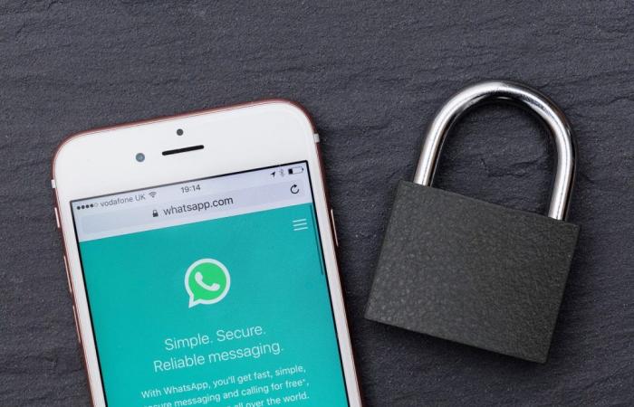 WhatsApp te pide tu dirección de correo electrónico, pero es por tu seguridad