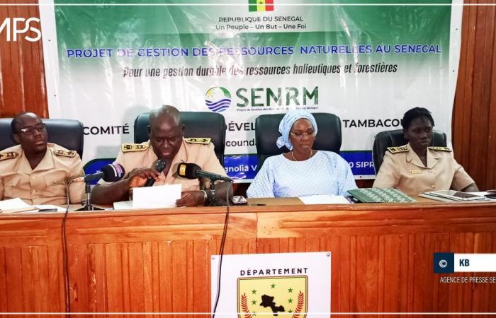 SENEGAL-MEDIO AMBIENTE / Tambacounda: hacia el desarrollo de seis nuevos bosques comunitarios – agencia de prensa senegalesa