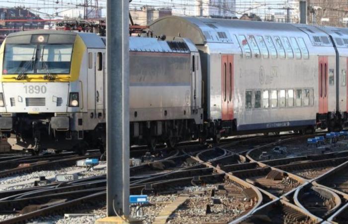 SNCB: el tráfico ferroviario completamente interrumpido entre dos estaciones valonas en agosto