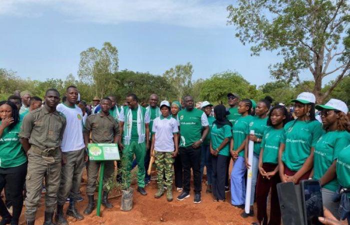 Lassiné Diawara, patrocinador del Día Nacional del Árbol 2024: la 6.ª edición hace un guiño al bosque clasificado de Dindéresso con 2.000 plantas plantadas en el suelo