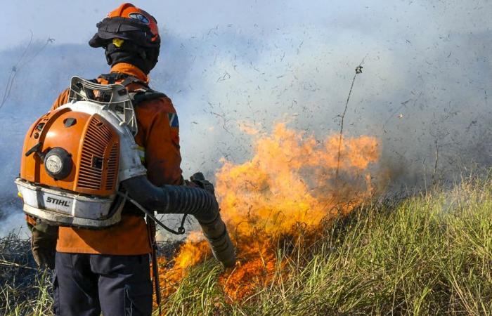 Calentamiento global | Los incendios forestales extremos se han duplicado en 20 años
