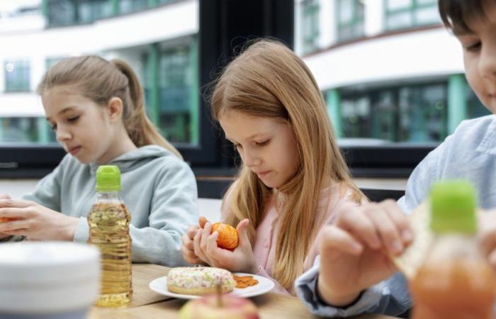 Comedores escolares en Saint-Étienne: lo que cambiará al inicio del año escolar