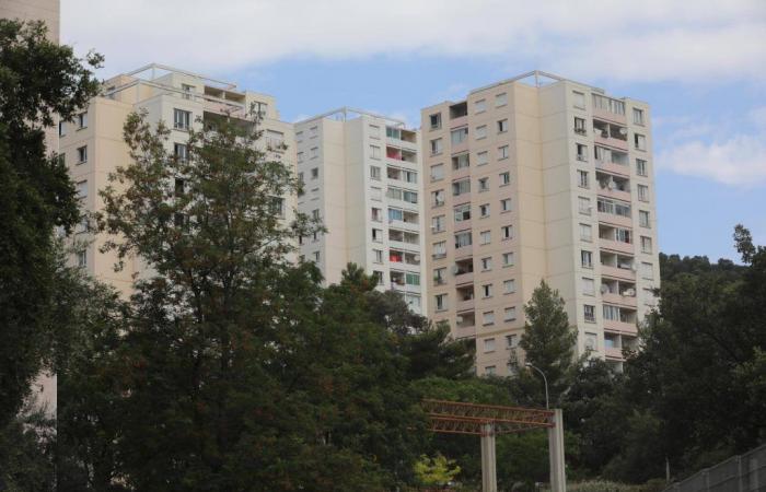 Estos dos distritos de Hyères elaborarán un inventario para mejorar las condiciones de vida de sus habitantes