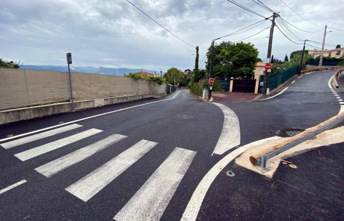 Vándalos cortan con sierras las señales de tráfico en Niza