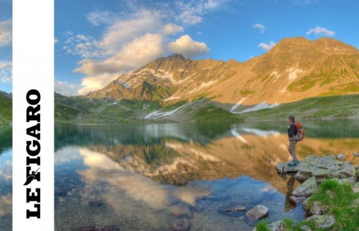 “No se dan cuenta de la vida salvaje”: esta reserva natural de los Alpes prohíbe vivaquear