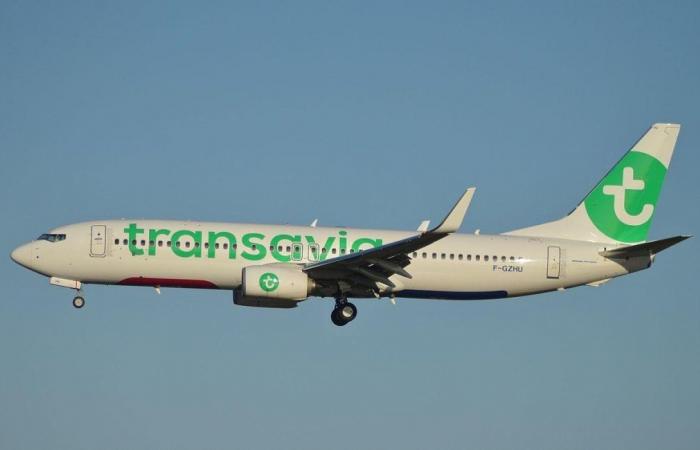 Transavia se expande en Burdeos y Arabia Saudita