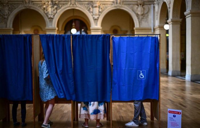 Candidatos, cuestiones… Todo lo que hay que saber sobre la novena circunscripción del Ródano