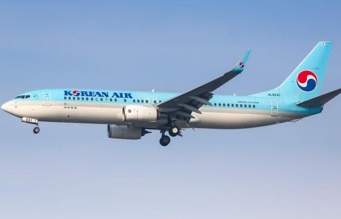 Un Boeing 737-8 de Korean Air cae 8.000 metros en un cuarto de hora: el avión debe aterrizar urgentemente en su punto de partida
