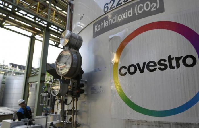 Emiratos Árabes Unidos se prepara para comprar el gigante químico alemán Covestro