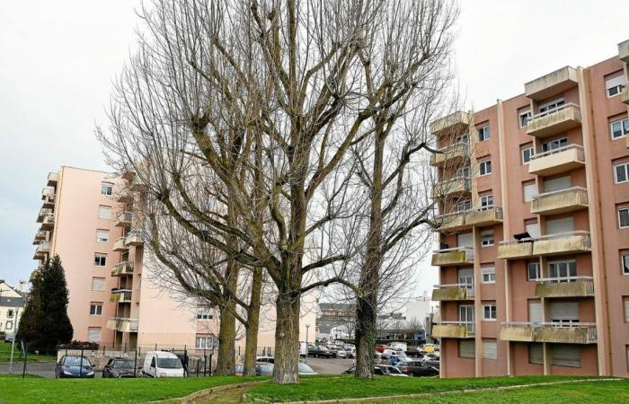 Asesinato en Nochevieja en Saint-Brieuc: cuando las drogas ponen patas arriba la noche