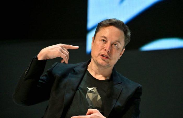 Elon Musk es padre por duodécima vez