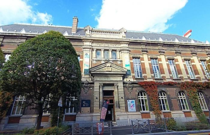 En Lille, el Museo de Historia Natural, cerrado por obras, permanece abierto a los visitantes… ¡en línea!