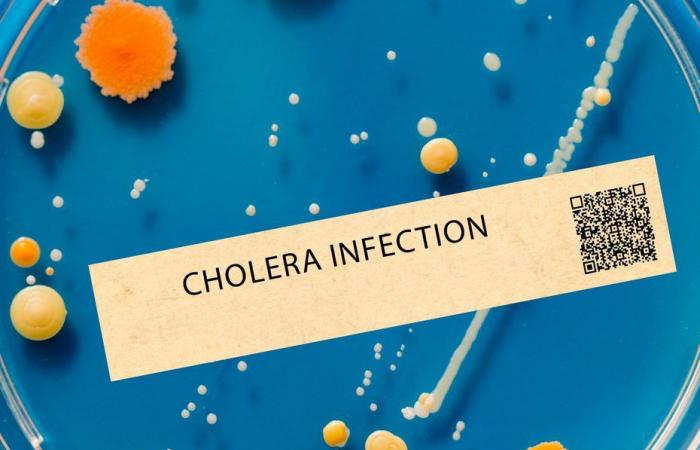 Se investiga una probable muerte por cólera en M’tsapéré