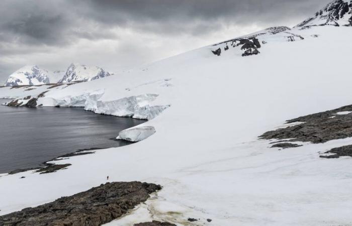 La Antártida está a punto de cruzar un “punto de inflexión”, advierte un nuevo estudio – Libération