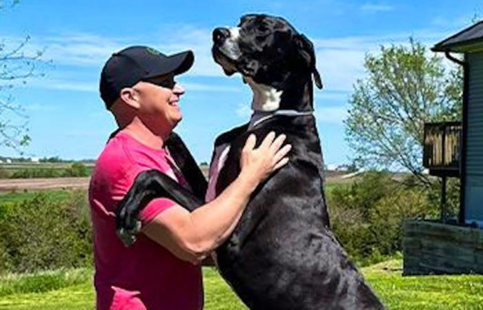El perro más grande del mundo muere poco después de batir récord