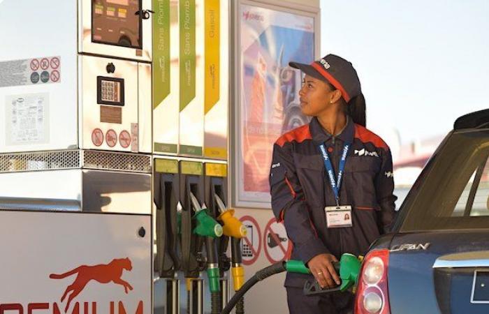 Combustible: aumento de los precios en el surtidor ante la verdad de (…)