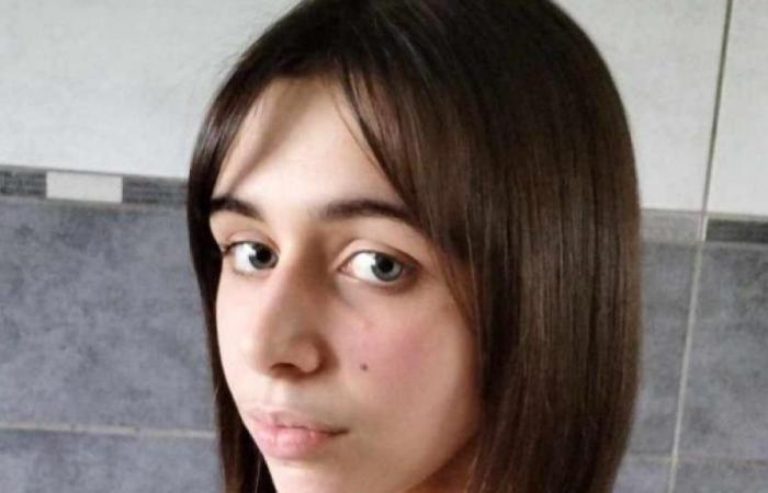 Una niña de 15 años desaparecida en Saint-André-Farivillers desde hace más de una semana