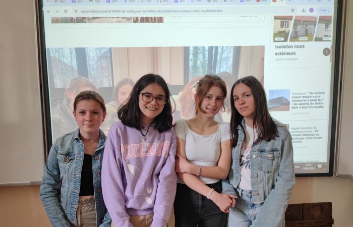 La importancia de la amistad vista por los jóvenes del colegio Fulrad de Sarreguemines