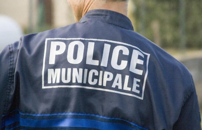 Valencia: un automovilista se niega a obedecer y corre hacia la policía municipal