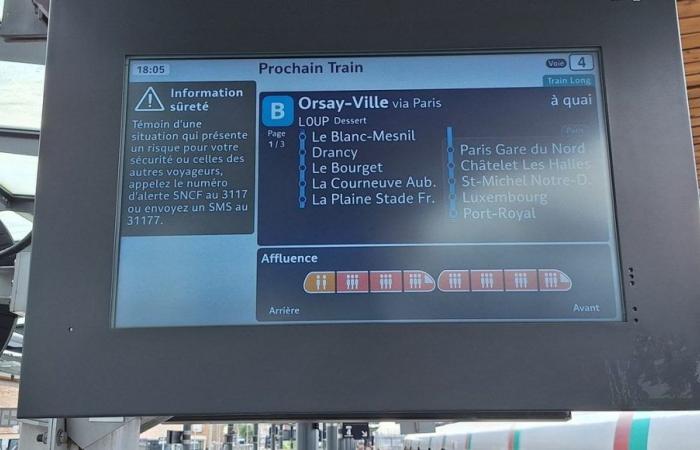 Transporte: gracias a la inteligencia artificial, la SNCF ahora visualiza las multitudes en sus RER