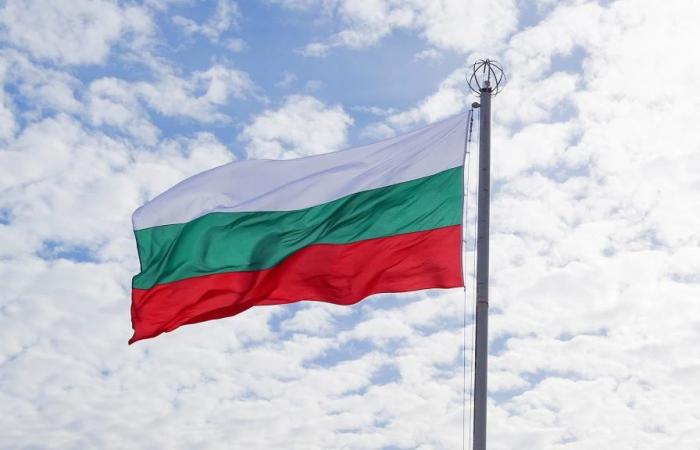 Bulgaria aún no está totalmente preparada para pasar al euro