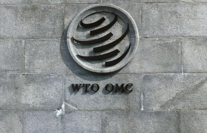 Sudáfrica dice que los procedimientos contra las medidas fitosanitarias de la UE sobre los cítricos avanzan en la OMC