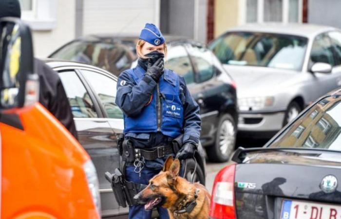 Gran operación policial en Bruselas: desmantelada una banda de narcotraficantes