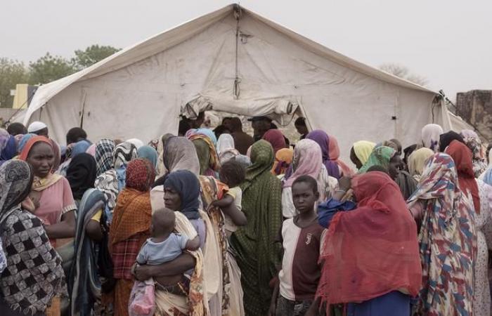 Chad: ACNUR pide apoyo urgente para la afluencia de refugiados sudaneses