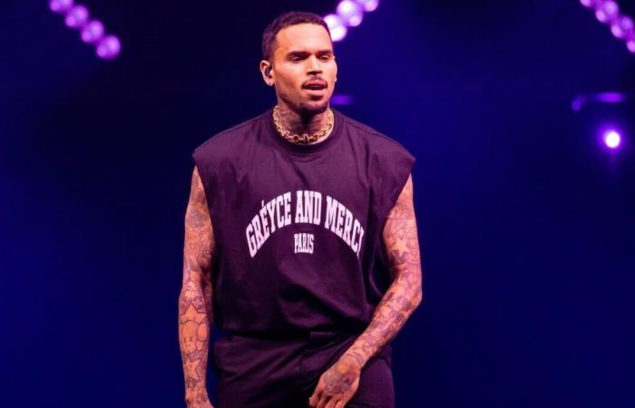 Chris Brown expone sus partes íntimas durante un concierto, Internet está en ebullición