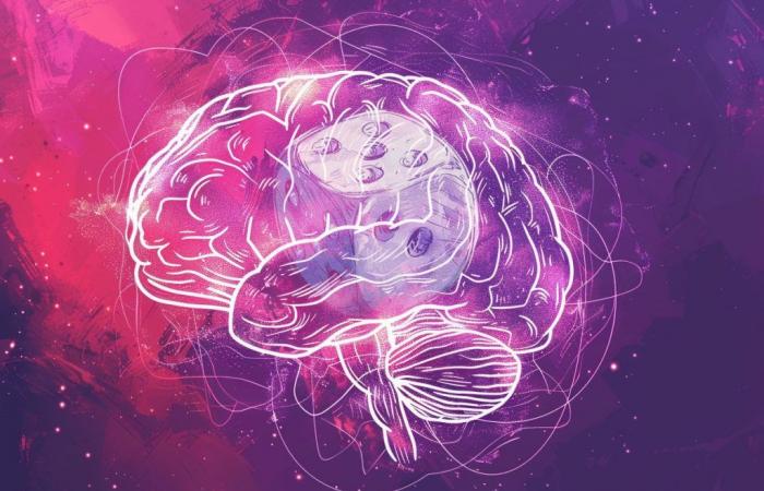Estos investigadores utilizan juegos para comprender cómo funciona el cerebro