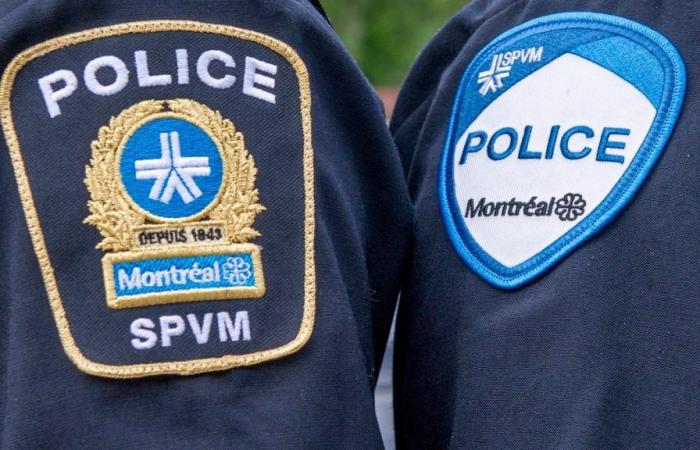 24% menos eventos de violencia armada en Montreal durante los primeros 5 meses de 2024