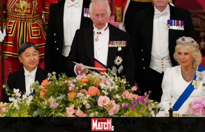 “Atrápalos a todos”: el rey Carlos III habla de sus nietos y… Pokémon durante un discurso para el Emperador de Japón