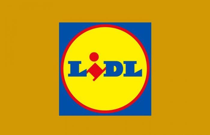 Rebajas de Lidl: 3 productos de bricolaje para conseguir a precios reducidos este miércoles por la mañana