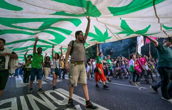 América Latina: Brasil valida la despenalización de la posesión de cannabis