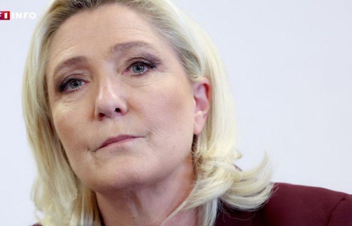 EN VIVO – Elecciones legislativas: Marine Le Pen perfila los contornos de la convivencia con Emmanuel Macron